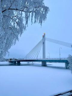Loimu Lapland Suites IX - 2
