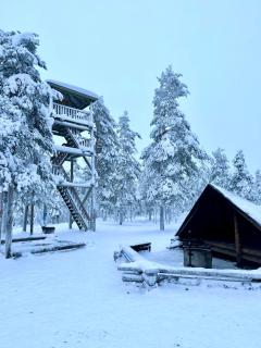 Loimu Lapland Suites IX - 1