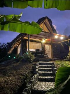 Magic Green Dentro del Parque Tayrona - 9