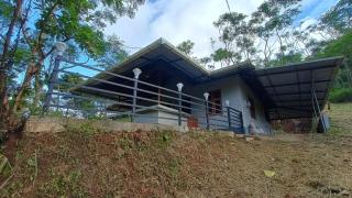 Jungle's Edge - 5