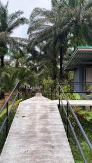 KhaoSok Mountain Palms Lodge - เขาสก เมาน์เทน ปาล์ม ลอดจ์ - 4