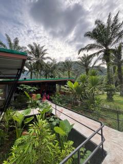 KhaoSok Mountain Palms Lodge - เขาสก เมาน์เทน ปาล์ม ลอดจ์ - 3