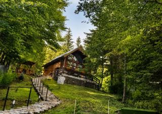 Wild House - Sinaia - 0