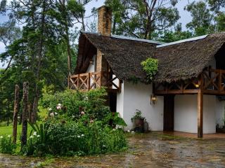 Valle Verde Lodge - Bosque - 8