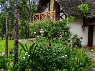 Valle Verde Lodge - Bosque - 7