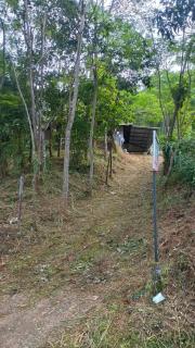 Jungle's Edge - 3