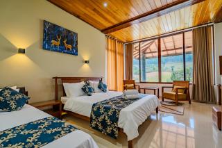 Camellia Rise - 2