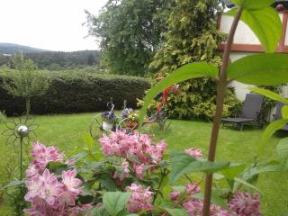 FeWo Sonnenblume - Daun - 1