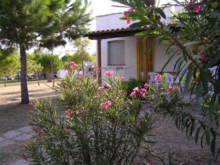 Residence Varantur - Cagnano Varano - 5