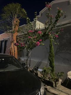 فيلا - 3