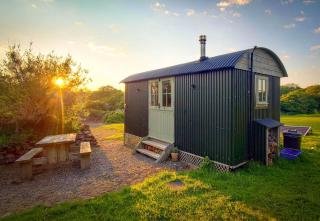 Haven View Shepherd's Hut - 0