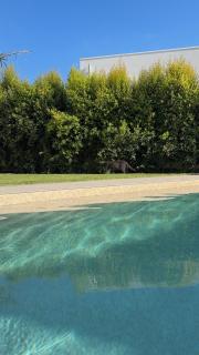 Casa Neroli - 0