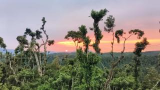 DSD Homestay Chikmagalur - 4