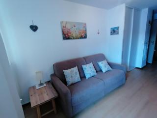 Résidence Le Christiana - Appartement agréable sur les pistes MAE-4404 - 2