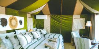 Risani Moha Camp - 3