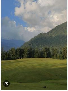 Vaani homestay - 8