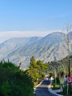 Miarzafa Cabin House DIENG - 7