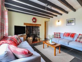 Alwyn Cottage - Llangollen - 5