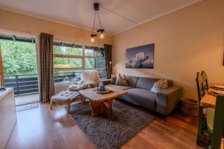 Charming apartment right in city centre - 6