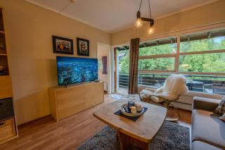 Charming apartment right in city centre - 1