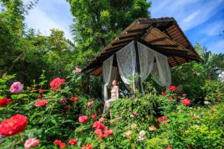 River Rose House Chiang Mai - 6