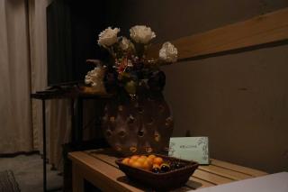 Dera Lamsa Resort Shigar - Shigar - 8