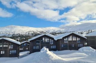 Premium ski-in out suite in Høyfjellcenter with 4 bedrooms - Trysil - 9