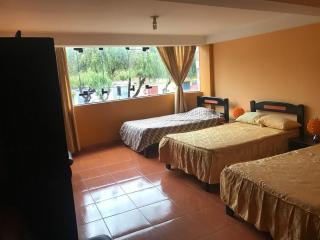 Apartment for family and groups 7 beds and garage - 7