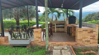 Palmarito - 1
