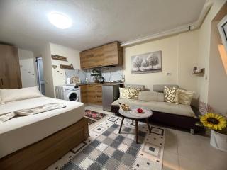 Studio Tirana Center 2 - 5