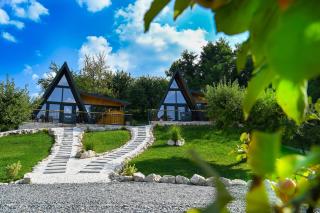 TAIGA Retreat - 6