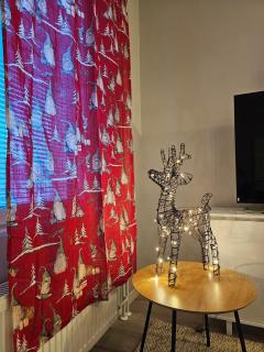 Reindeer herders city hideaway - 1