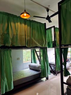 Roaming Souls Hostel Munnar - 4