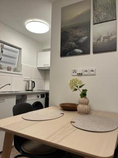 Apartmán mezi Krumlovem a Lipnem - 4