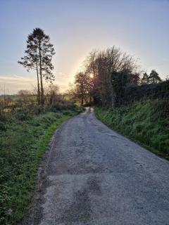 Delvin Court, Stamullen - 6