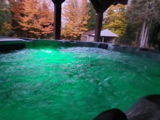 Relaxing haven with fireplace and spa - 1