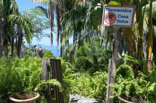 Casa Selva Jungle Beach with Privacy - 5