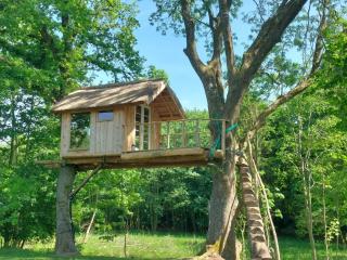 Stairway To The Meadow - 0