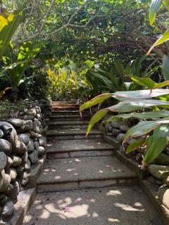 Casa Mar Beachfront Jungle Villa in Palapa Ganesh - 2