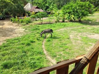 Rancho Santiago Ecotour - 0