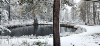 Whole home, private lake, sauna, WFH office - 7