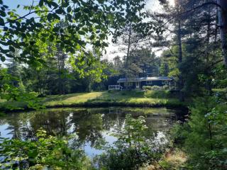 Whole home, private lake, sauna, WFH office - 6