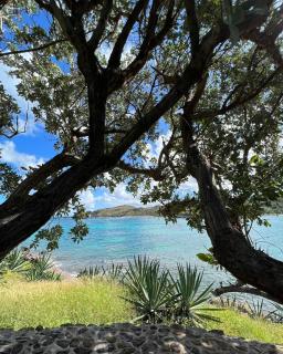 Oceanfront Home in St Barth, 2BR, Steps from the water in Petit-Cul-de-sac - 9