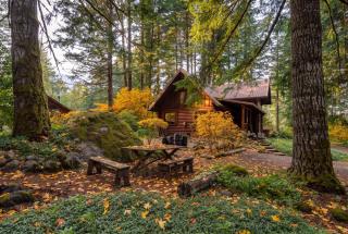 Mt Hood Log Cabin! Fresh Remodel with Airstream 1 - 4