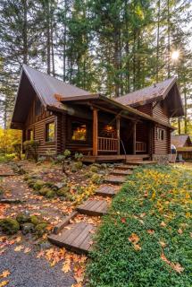 Mt Hood Log Cabin! Fresh Remodel with Airstream 1 - 8