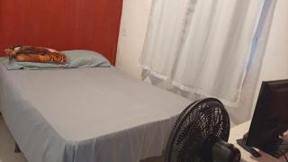 Lugar de paz - 4