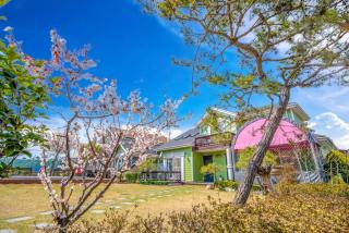 Daebudo polaris pension - 4