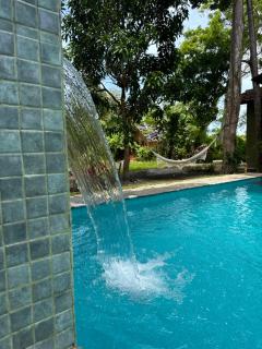 Jungle Fence - 4