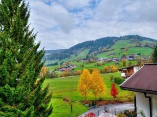 Wildschönau Alpine Vicky Apartment - 5