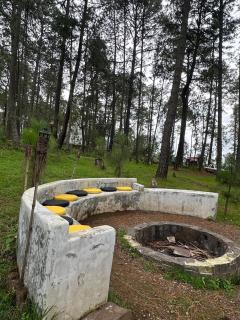 Cabaña los Agaves de Tapalpa - 3